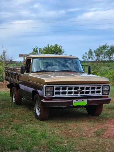 Ford F-1000 S. S. Diesel / S.s. Diesel Turbo 1987