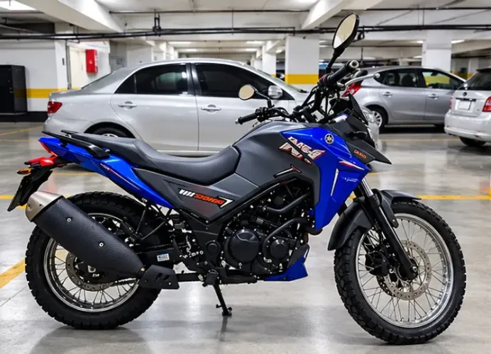 Motocicleta Dafra Sym NH 300