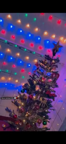 Árvore de Natal nova
