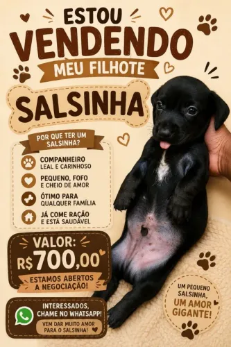 Salsicha 