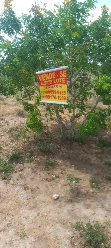 Lote á Venda