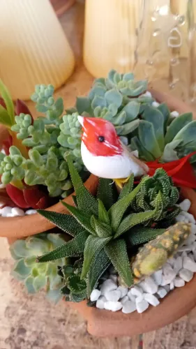 Jardinagem