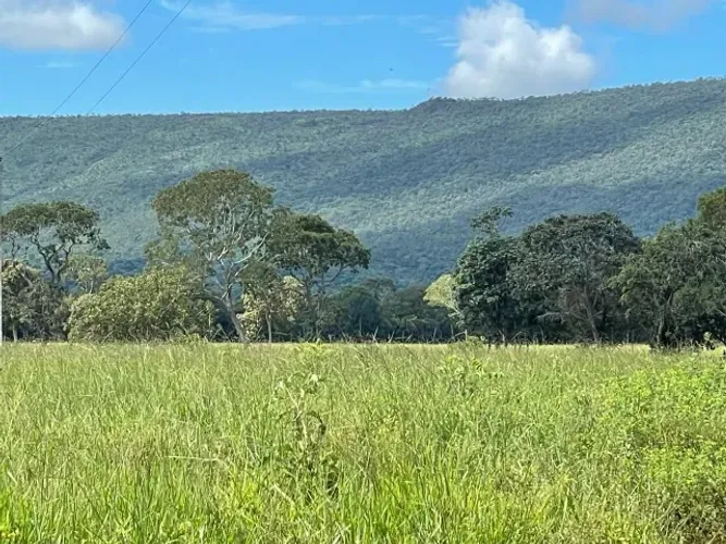 Fazenda 180 ha em Arinos/MG | Rio perene + poço artesiano | Oportunidade