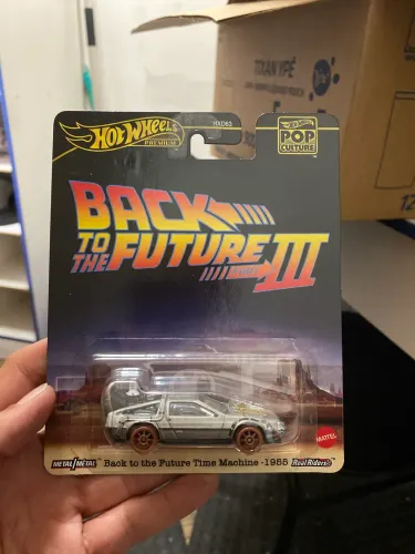 Hot wheels dê volta para o futuro3 1955