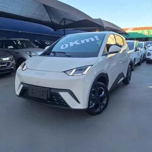BYD Dolphin Mini (Elétrico) 2027
