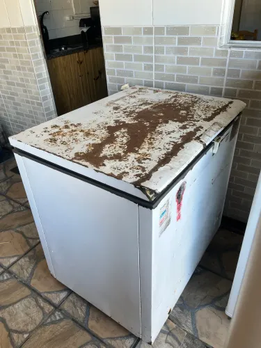 3 freezer por 450,00
