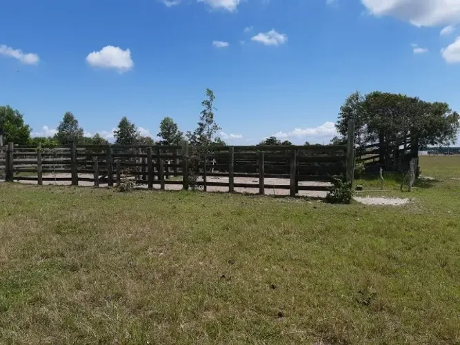 FAZENDA DE 29,50 ALQUEIRES EM FLEXEIRAS (QUISSAMÃ).