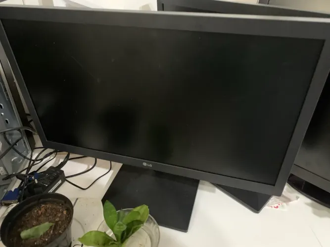 Monitor LG 19.5