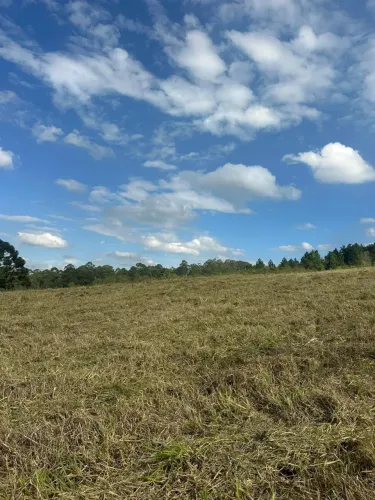 Lote 1000m² em Mairinque Região Valorizada