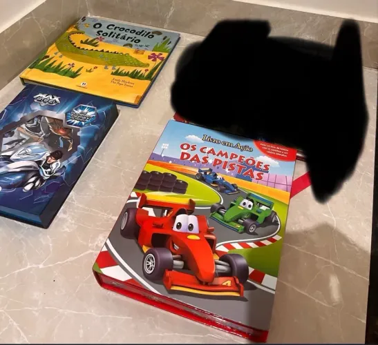 Livros-brinquedos e pop-ups carrinhos:39, crocodilo:29 e Max Steel:19