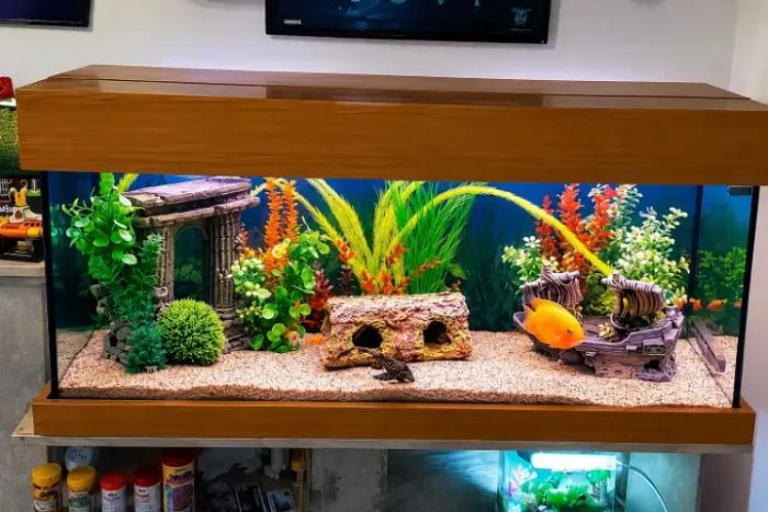 Aquário 260L