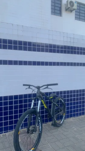 ABSOLUTE BRUTUS PRO 