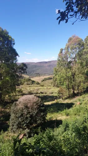 Imóvel rural 
