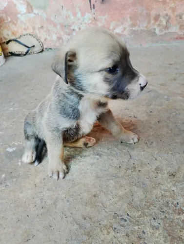 Doação