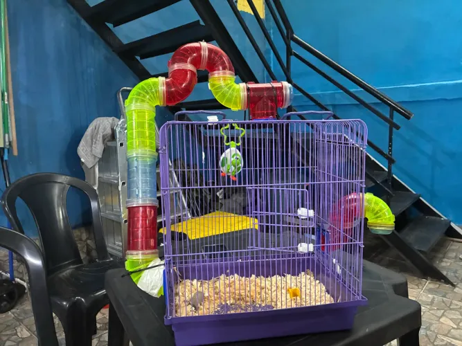 Casinha para hamster com acessórios
