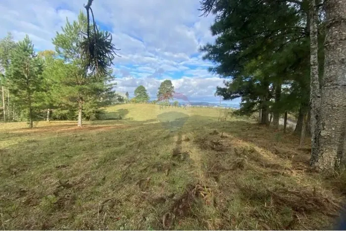 Terreno Ideal no Jardim das Camélias, Lages-SC