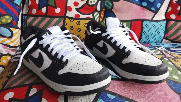 Nike Dunk Low Pro