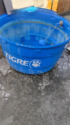 Caixa da água tigre