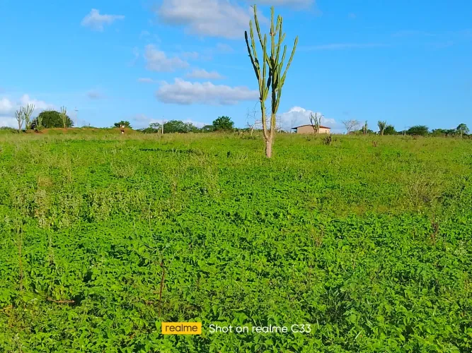 Propriedade Rural 