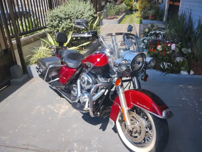 Haley Road King 2013