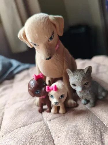 Kit Barbie
