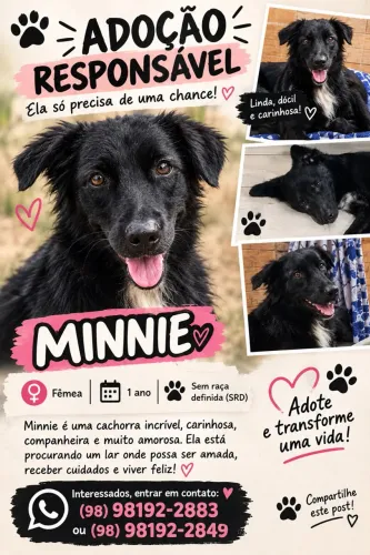Cachorra Femea pra doar