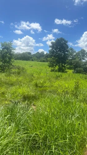 Vende-se terra de 220.000 m²( 22HA) a 500m cidade de Bonfinopolis MG, otimo investimento. 