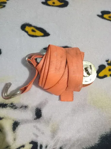 Sinto de segurança 