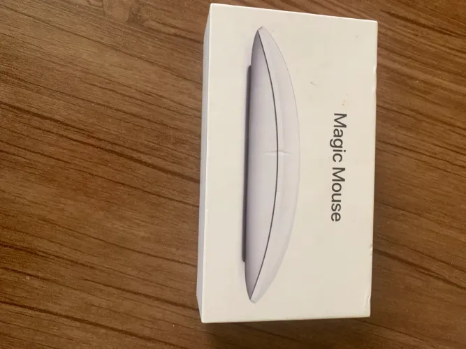 Apple Mouse Magic 2