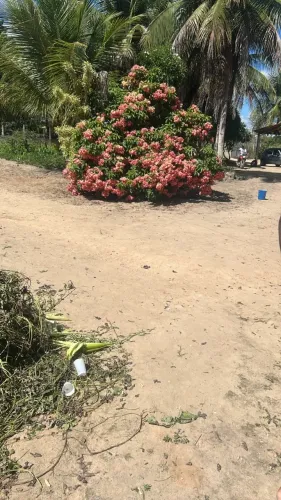 Vendo terreno em Irará BA.