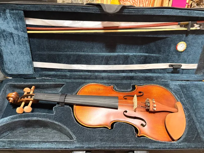 Violino