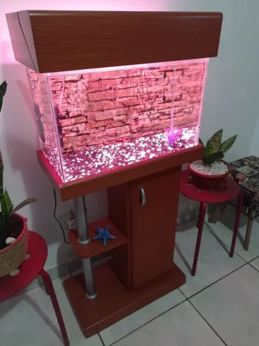 AQUARIO MONTADO 47 LITROS