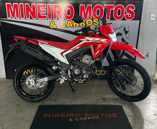 XR 300L TORNADO FLEX