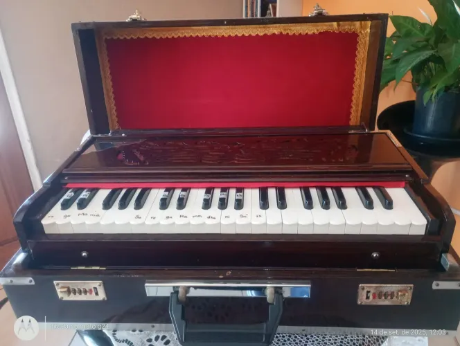 Harmonium Paul&CO