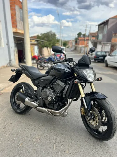 Hornet 2011