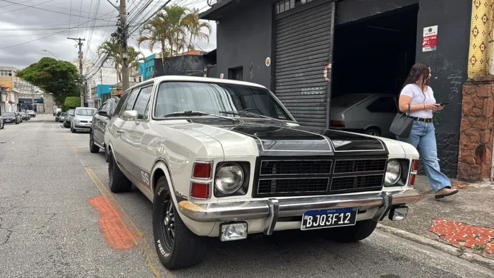 Chevrolet Caravan L/sl/s/ss 2.5/4.1/4.2 1979