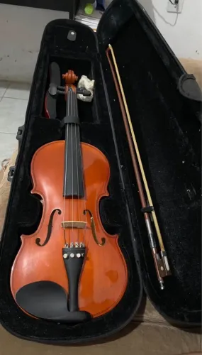 Violino