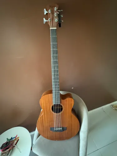 Baixo Acústico (Baixolão)