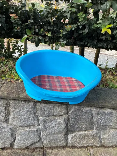 Cama Plástica com Almofada para Cachorro