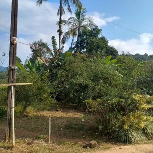 Terreno para arrendamento com aproximadamente 4.800 m2