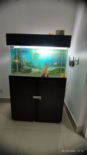 Aquário completo ?