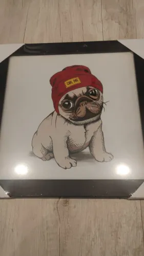 Quadro Cachorro Pug 30 x 30 moldura laqueada preta frente vidro