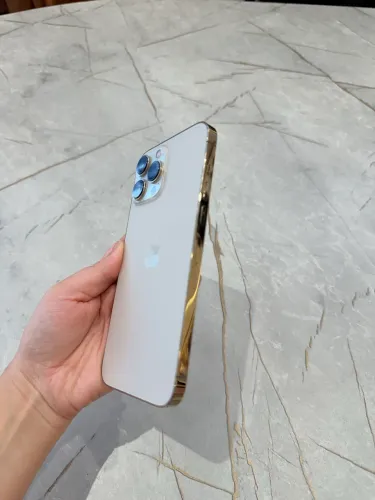 iPhone 13 Pro Max 256GB