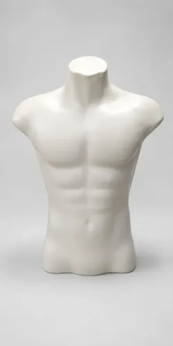 Manequim masculino busto