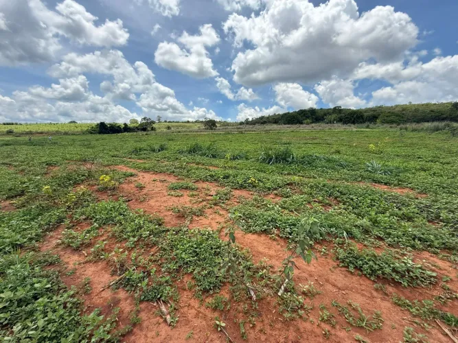 Fazendinhas rurais em florestal