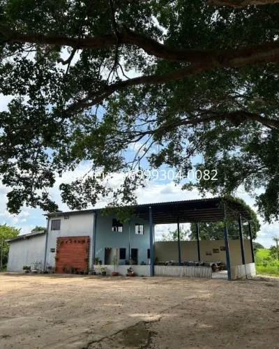 Chácara à venda ? 3 hectares - Linha 12 - Ji-Paraná RO