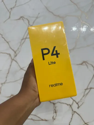 P4 Lite