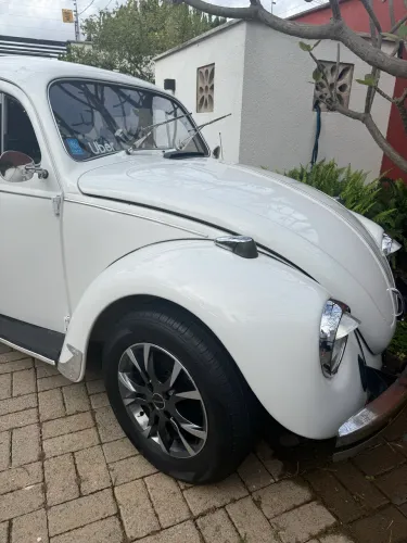Fusca impecável 