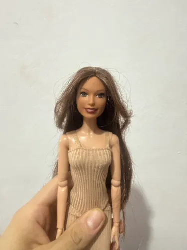 Barbie com rerrot maravilhoso