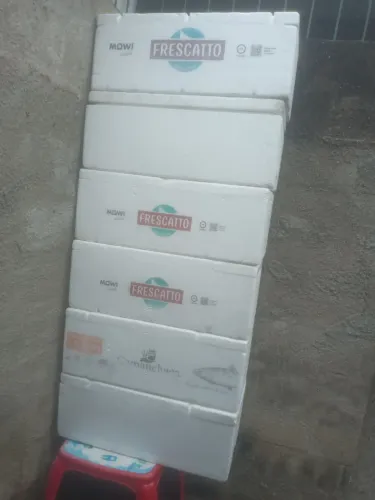 Caixa de isopor